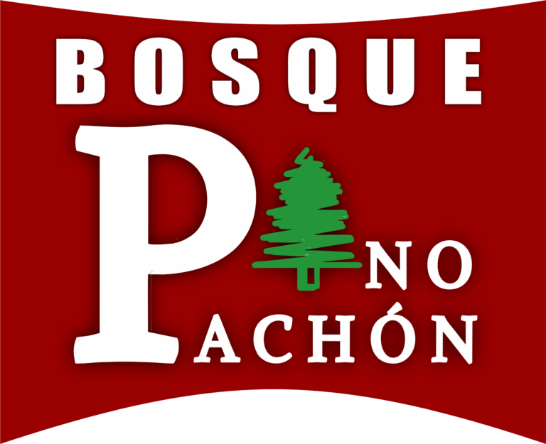 logo pino pachón sin sombra