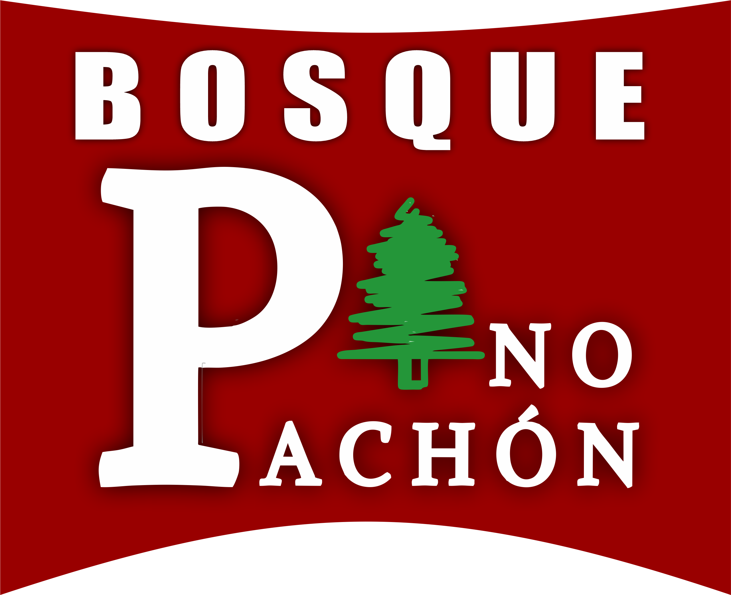 BOSQUE PINO PACHÓN